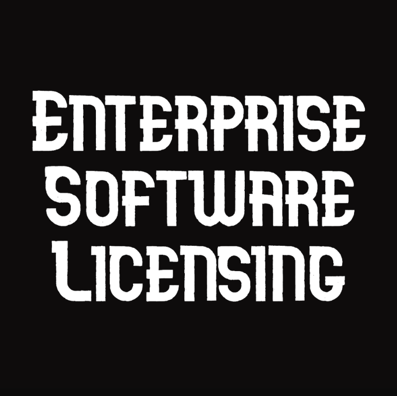 Enterprise Software Licensing