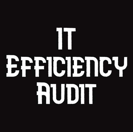 IT Efficiency Audit